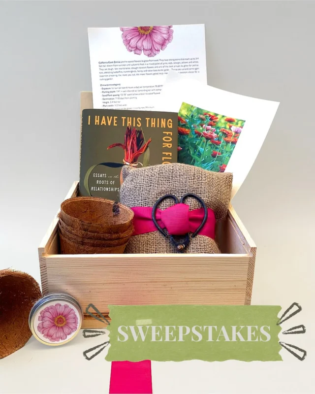 GIVEAWAY! 🌷We are so thrilled that I HAVE THIS THING FOR FLOWERS is out in the world, and what better way to celebrate than with growing your own flowers— better yet, zinnias! 🌺“What I’d thought to be somehow simultaneously boring and garish has, upon closer inspection, revealed itself as a shock of returning color. Earlier in the day, before I sat at a bar telling stories, I’d been in the garden outside mine and Sarah’s home scattering Zinnia pumila seeds, and only a month later, the plants have come up quickly and leggy. . .” —@oh_well_peanutbutter, I HAVE THIS THING FOR FLOWERSOne lucky winner will get the chance to receive a copy of I HAVE THIS THING FOR FLOWERS along with the Zinnia Cutting Garden Growing Kit from @shopterrain. The kit includes the following, with instructions on getting started:A tin of California Giant Zinnia seed mixFlower sheersOMRI-listed-seed-starting soil5 coir seedling pots1 drip trayTO ENTER 👉 like this post and leave a comment telling us your favorite wildflower!NO PURCHASE NECESSARY. Open only to legal residents of the 50 United States and D.C. who are age 18 or older and of the legal age of majority. Entry period begins at 12:00 PM Eastern Time (ET) on 8/27/26 and ends at 11:59 PM ET on 8/30/26. Void where prohibited. For full Official Rules, visit https://read.macmillan.com/?post_type=fib&p=3328056. Sponsored by Flatiron Books, 120 Broadway, New York, NY 10271. The Sweepstakes is in no way sponsored, endorsed or administered by, or associated with, Instagram.