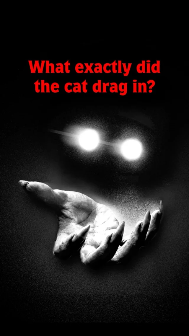 October 13th is almost here! 🐈‍⬛Make sure to preorder your copy of LOOK WHAT THE CAT DRAGGED IN and get ready to cuddle up with your favorite furball for the perfect spooky-season read.Jason Rekulak is back with a creepy, wildly fun supernatural thriller, and trust us, this one does not disappoint.Preorder now at any major retailer!